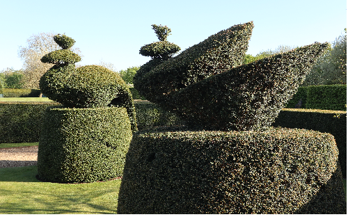 World Topiary Day Garden Only Entry